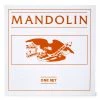 Stewart-MacDonald Mandolin Strings - StewMac -Kit Melody Sales Store 0765 1 onwhite 3000