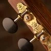 Sloane Classical Guitar Tuners With Ebony Knobs And Deco Baseplates - StewMac 1 Sloane Classical Guitar Tuners With Ebony Knobs And Deco Baseplates - StewMac -Kit Melody Sales Store 100666 installed 1500