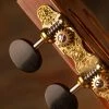 Sloane Classical Guitar Tuners With Ebony Knobs And Flower Baseplates - StewMac -Kit Melody Sales Store 100673 installed 1500