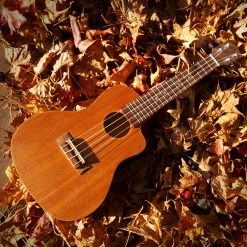 StewMac Cutaway Ukulele Kits - StewMac -Kit Melody Sales Store 5854 3 in use 2 1200